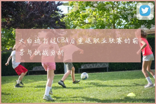 大白边打过CBA后重返职业联赛的前景与挑战分析