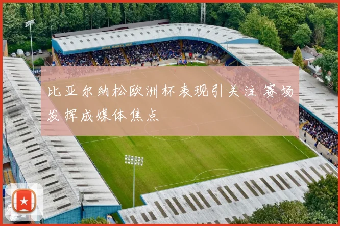 比亚尔纳松欧洲杯表现引关注 赛场发挥成媒体焦点